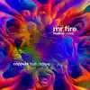 Mr. Fire (Malive Remix) - Single album lyrics, reviews, download