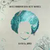 Descobridor dos Sete Mares: Remix - Single album lyrics, reviews, download