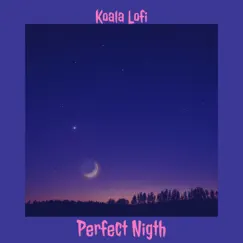 Perfect Night - Single by Koala Lofi album reviews, ratings, credits
