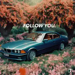 Follow You - Single by Fleetwood Jones album reviews, ratings, credits