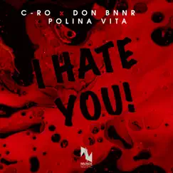 I Hate You (Extended Mix) Song Lyrics