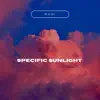 Specific Sunlight - Single album lyrics, reviews, download