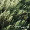 In the Moment (feat. Andres Alborok) song lyrics