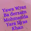 Yawa Wraz Ba derzam Mohmanda Yara Ilyas Khan - Single album lyrics, reviews, download