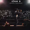 Sinan B / Beweise über Sinan - Single album lyrics, reviews, download