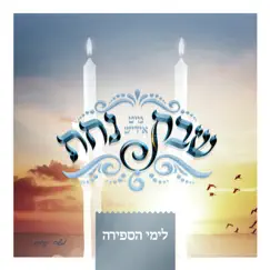 Heiliger Shabbos (feat. Yiddish Nachas) Song Lyrics
