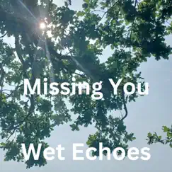 Missing You - Single by Wet Echoes album reviews, ratings, credits