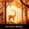 Enchanted Woods - Single album lyrics, reviews, download