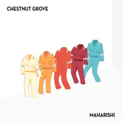Maharishi - Single by Chestnut Grove album reviews, ratings, credits
