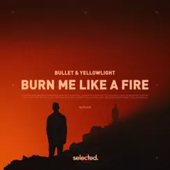 Burn Me Like a Fire (Extended) Song Lyrics