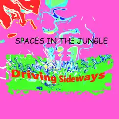 Driving Sideways - Single by Spaces in the Jungle album reviews, ratings, credits
