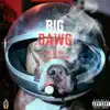 Big Dawg - Single album lyrics, reviews, download