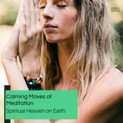 Calming Moves of Meditation - Spiritual Heaven on Earth by Various Artists album reviews, ratings, credits