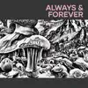 Always & Forever - Single album lyrics, reviews, download