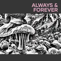 Always & Forever Song Lyrics