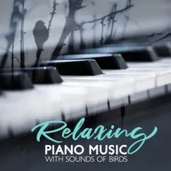 Relaxing Piano Music with Sounds of Birds for Meditation: Study, Harmony and Serenity by Relaxation Area, New Age Soul Balance & Instrumental Piano Academy album reviews, ratings, credits