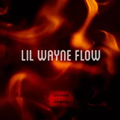 Lil Wayne Flow - Single by Superstar Narley album reviews, ratings, credits