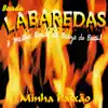 Minha Paixão (A Melhor Banda de Brega do Brasil) album lyrics, reviews, download