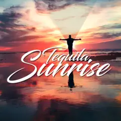 Tequila Sunrise (Everlasting Summer Nights Mix) (Radio Edit) [Radio Edit] - Single by Fleck album reviews, ratings, credits