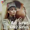 Ari Sirun Gna Sirun - Single album lyrics, reviews, download