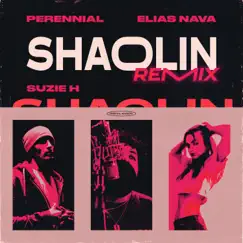 Shaolin (Remix) Song Lyrics