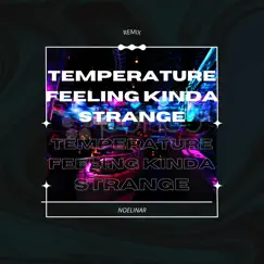 Temperature Feeling Kinda Strange (Remix) Song Lyrics