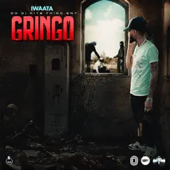 Gringo - Single by Iwaata album reviews, ratings, credits