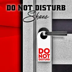 Do Not Disturb - Single by Shane album reviews, ratings, credits