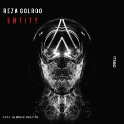 Entity - Single by Reza Golroo album reviews, ratings, credits