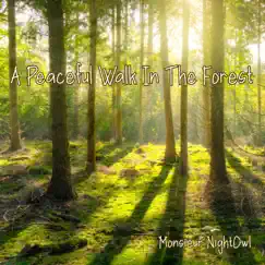 Find a Peaceful Retreat in the Forest Song Lyrics