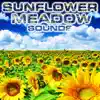 Sunflower Meadow Sounds (feat. OurPlanet Soundscapes, Paramount Nature Soundscapes, Paramount White Noise, Paramount White Noise Soundscapes, White Noise Plus & White Noise TM) album lyrics, reviews, download