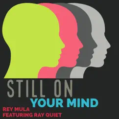 Still On Your Mind (feat. Ray Quiet) Song Lyrics