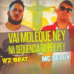 Vai Moleque Ney na Sequencia do Pey Pey - Single by WZ Beat & Mc Delux album reviews, ratings, credits