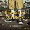 New Kid on the Block - Single album lyrics, reviews, download