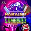Paraíso Cumbiero Vol. 2 - Mix de Canciones Bailables album lyrics, reviews, download