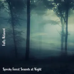 Spooky Forest Sounds at Night, Pt. 3 Song Lyrics