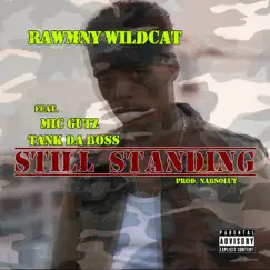 Still Standing (feat. Mic Gutz & Tank Da Boss) - Single by Rawmny Wildcat album reviews, ratings, credits