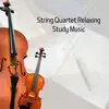 String Quartet Relaxing, Study Music album lyrics, reviews, download