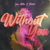 Without You - Single album lyrics, reviews, download