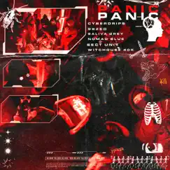 Panic (feat. Sect Unit, Nomad Blue & Witchouse 40k) Song Lyrics