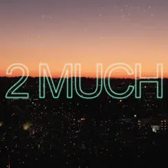 2 Much - Single by Kev Nichols album reviews, ratings, credits