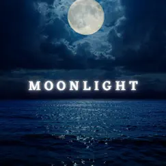 Moonlight by Stardust at 432Hz album reviews, ratings, credits