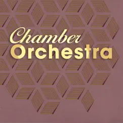 Chamber Orchestra by Various Artists album reviews, ratings, credits