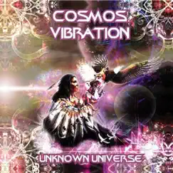 Unknown Universe by Cosmos Vibration & Pragmatix album reviews, ratings, credits