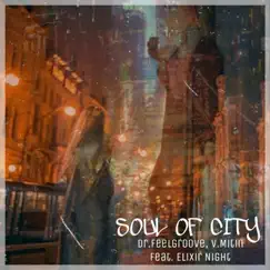 Soul Of City (feat. Elixir Night) - Single by Dr.Feelgroove & V.Mitin album reviews, ratings, credits