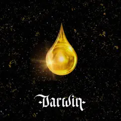 Tears of Gold - Single by Darwin album reviews, ratings, credits