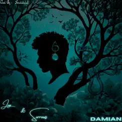 Joys & Sorrows - Single by Damian album reviews, ratings, credits