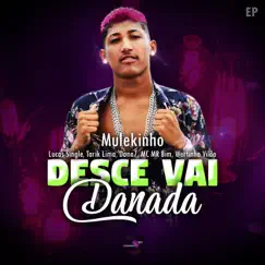 Desce vai danada (feat. Lucas Single & Wertinho Vilão) Song Lyrics