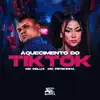 Aquecimento do Tiktok - Single album lyrics, reviews, download