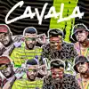 Cavala (feat. MC Mr Bim) - Single album lyrics, reviews, download